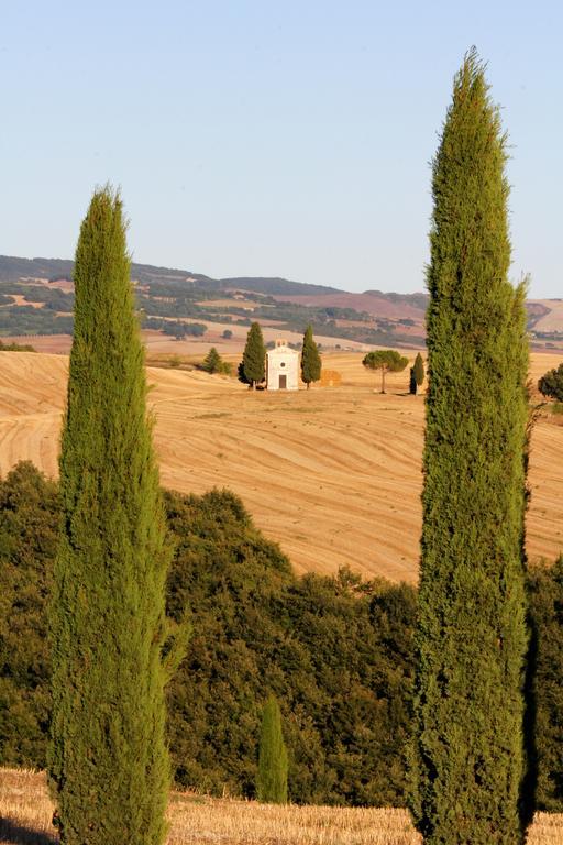 La Terrazza Sulla Val D'Orcia Apartment Castiglione dʼOrcia Exterior foto