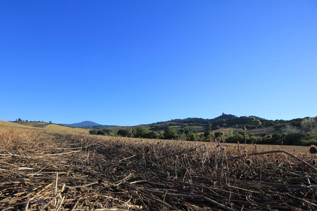 La Terrazza Sulla Val D'Orcia Apartment Castiglione dʼOrcia Exterior foto