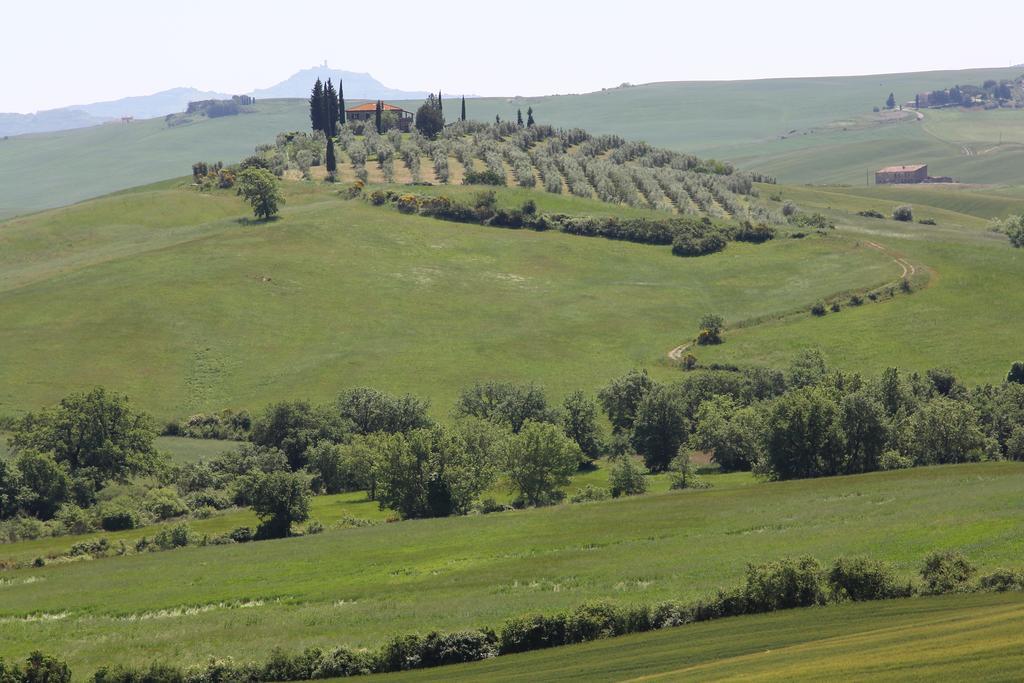 La Terrazza Sulla Val D'Orcia Apartment Castiglione dʼOrcia Exterior foto